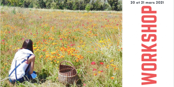 Rencontre avec les plantes médicinales / 20-21 mars 21